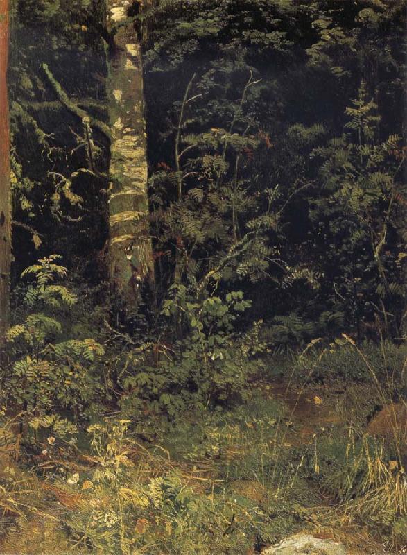 Ivan Shishkin Silver birch and mountain ash Spain oil painting art